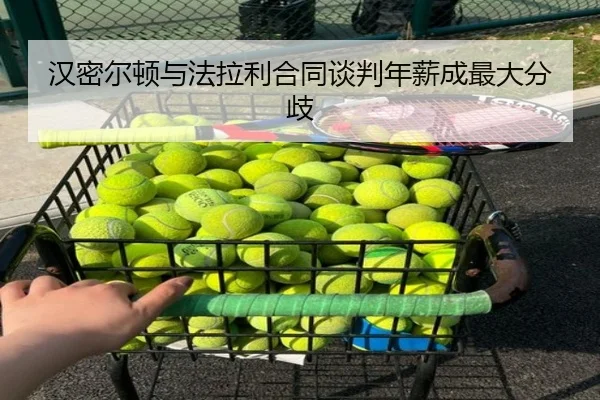 han-mi-er-dun-yu-fa-la-li-he-tong-tan-pan-nian-xin-cheng-zui-da-fen-qi-2-830.jpg